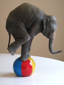 elephant-ball-1